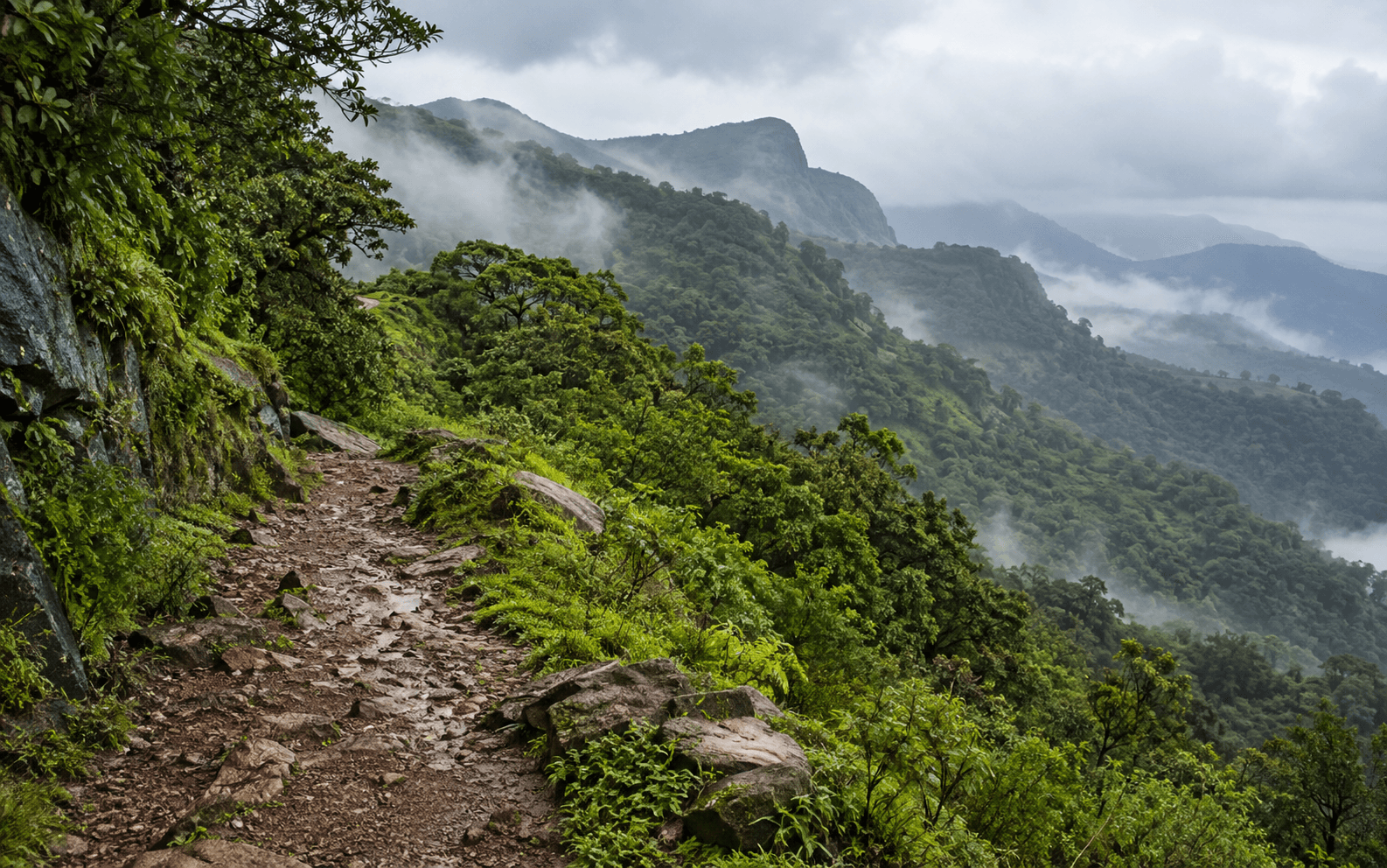 Dattapeeta to Kemmangundi Forest Route