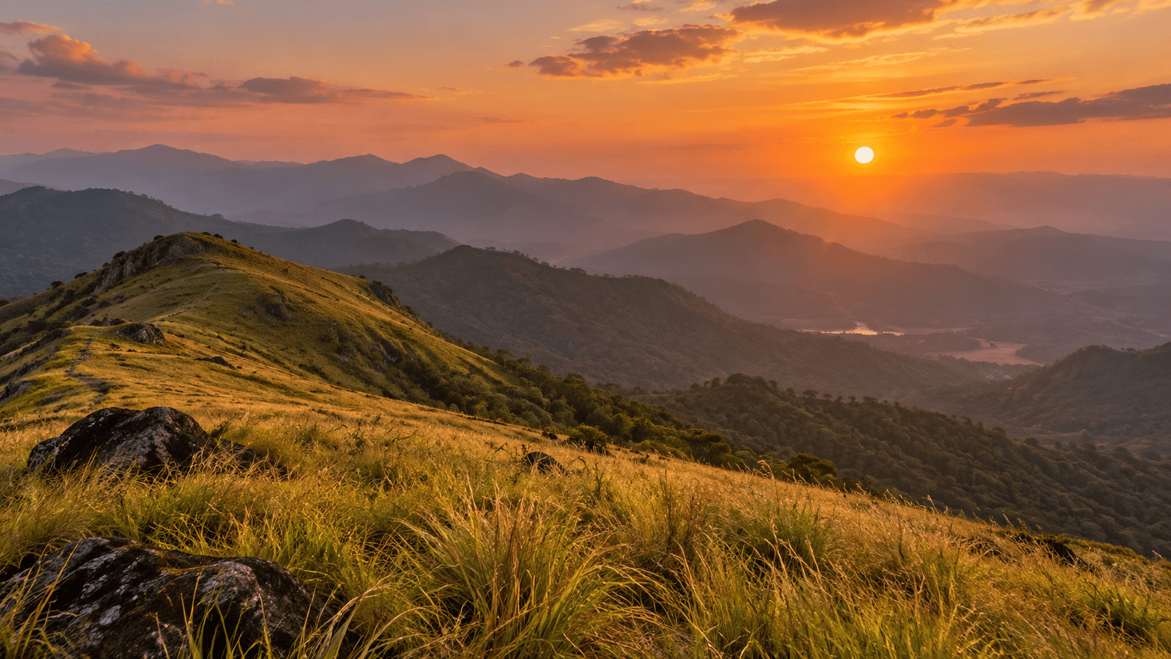 Panchalimedu Scenic Drive & Viewpoint