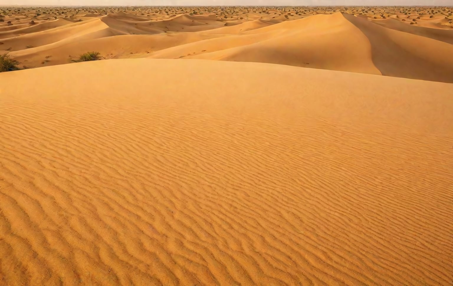 Bikaner Desert Dunes