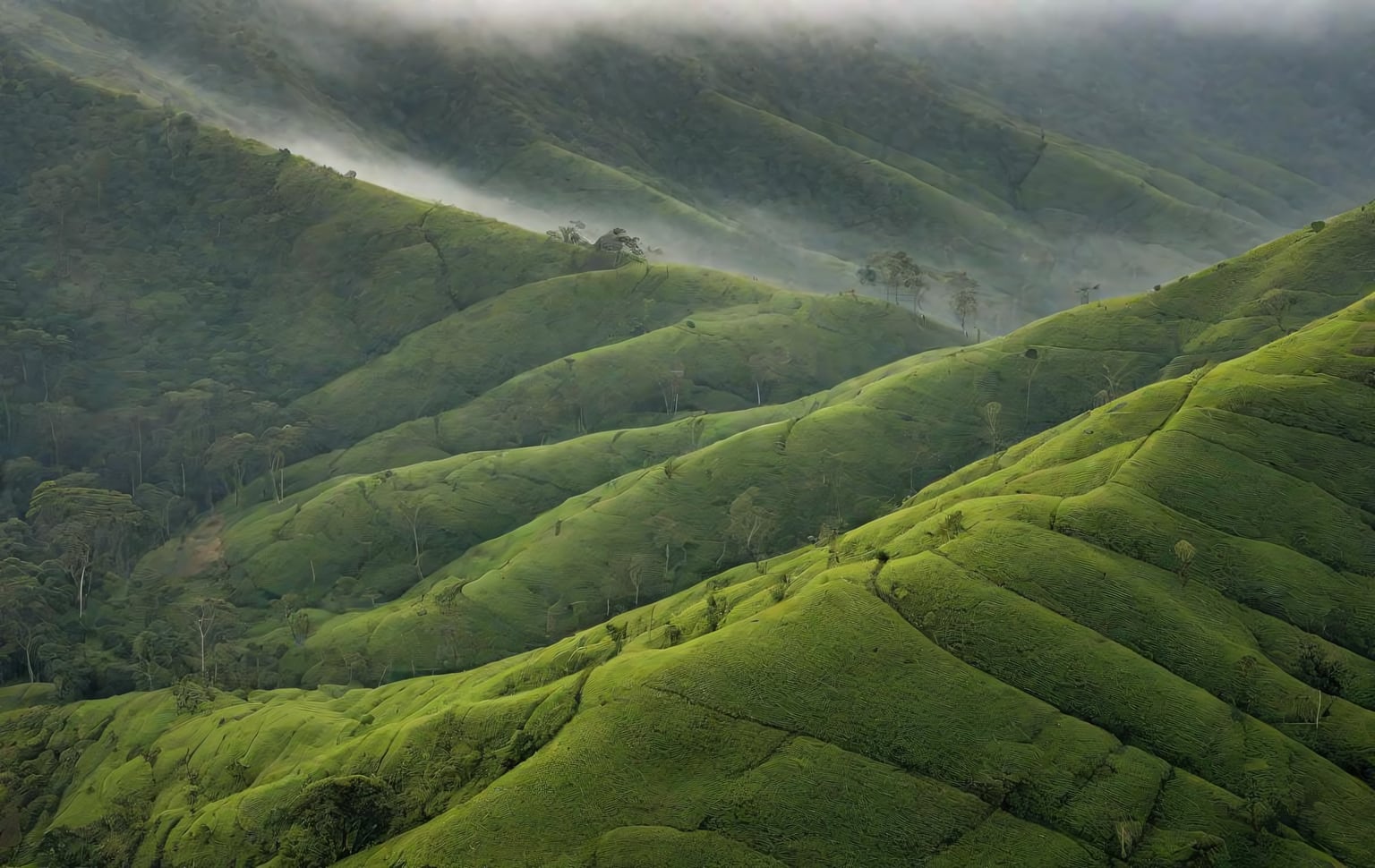 Genepool Ecotourism (Nadugani)