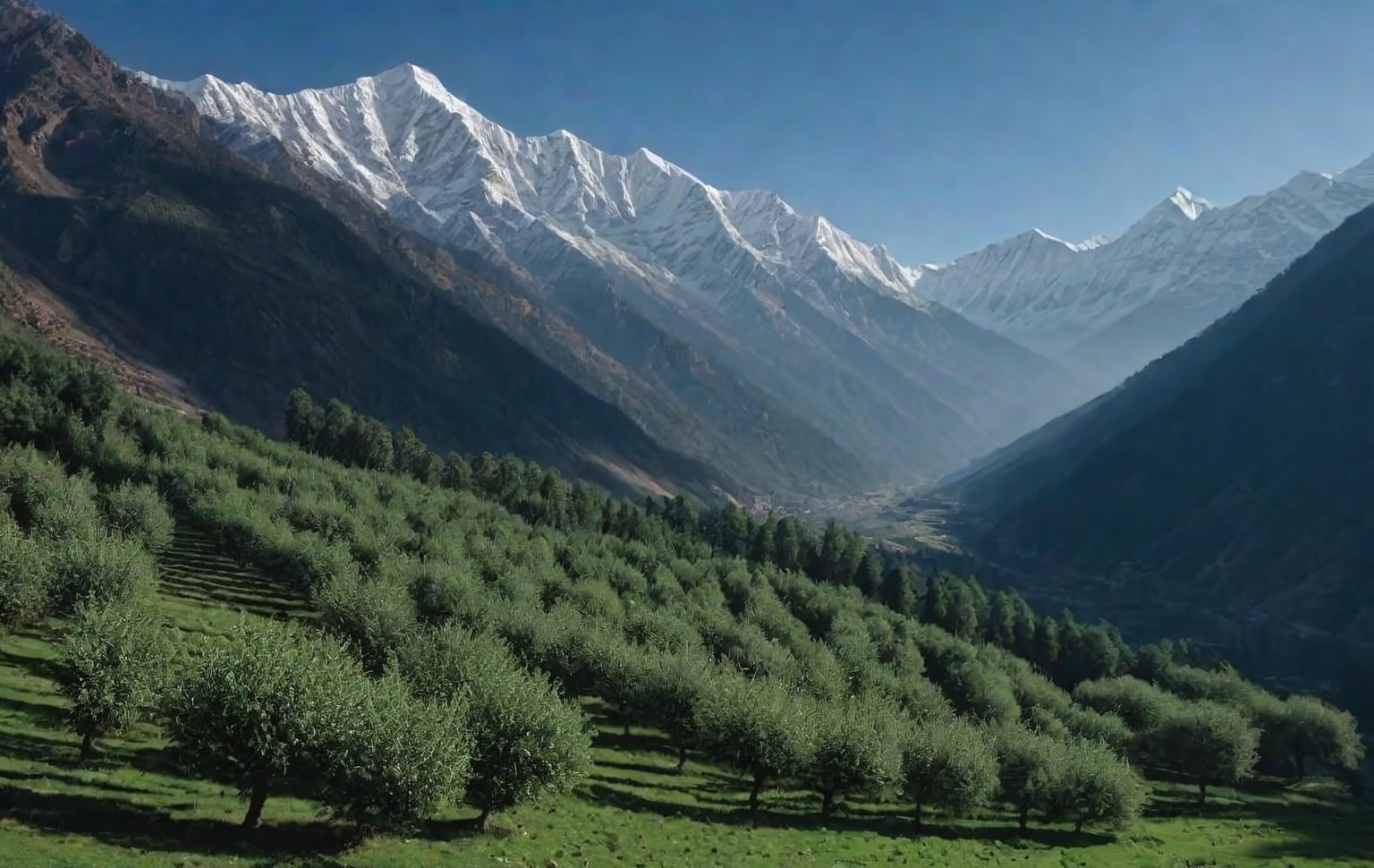 Kalpa & Kinnaur