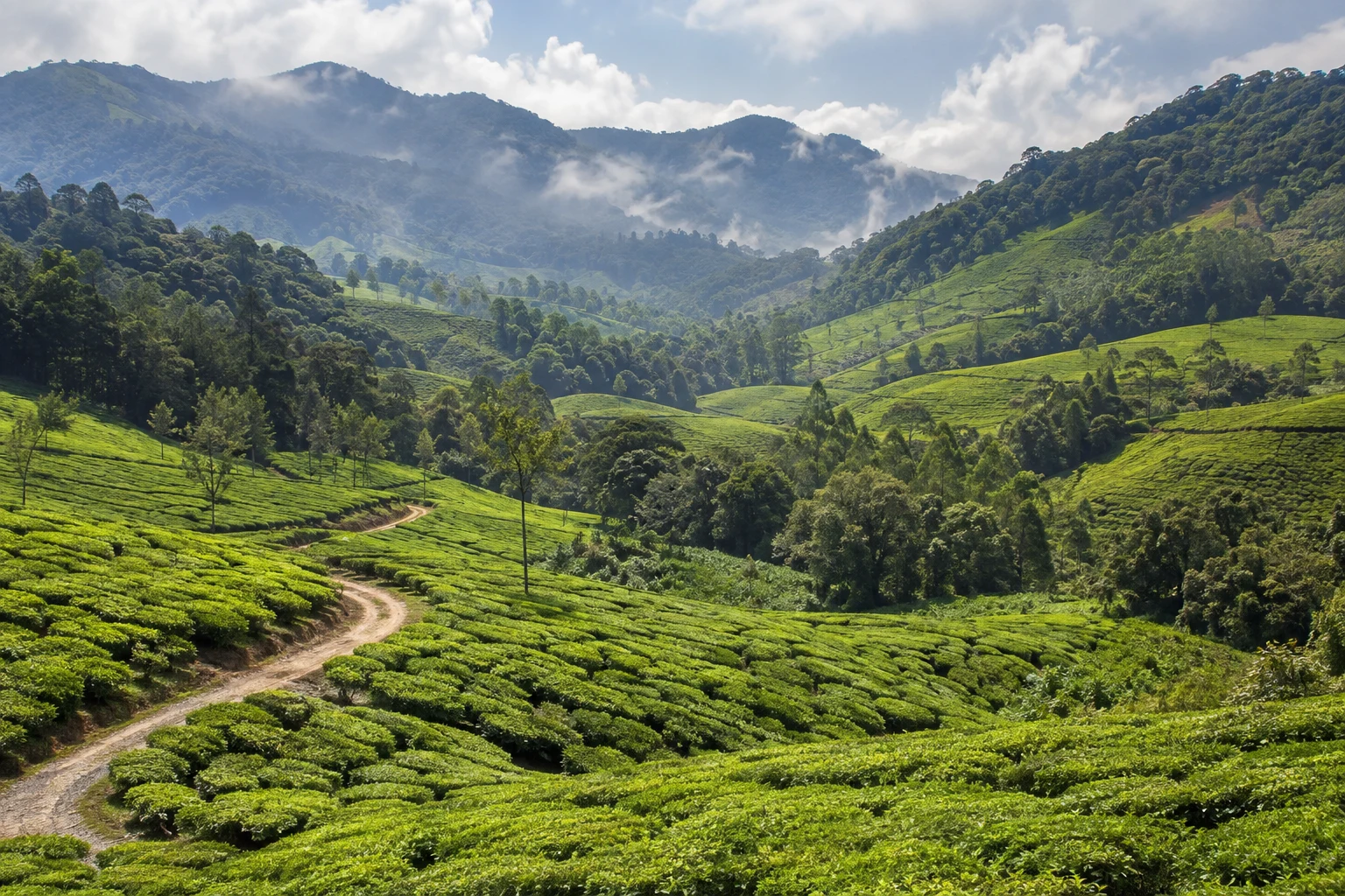 Munnar