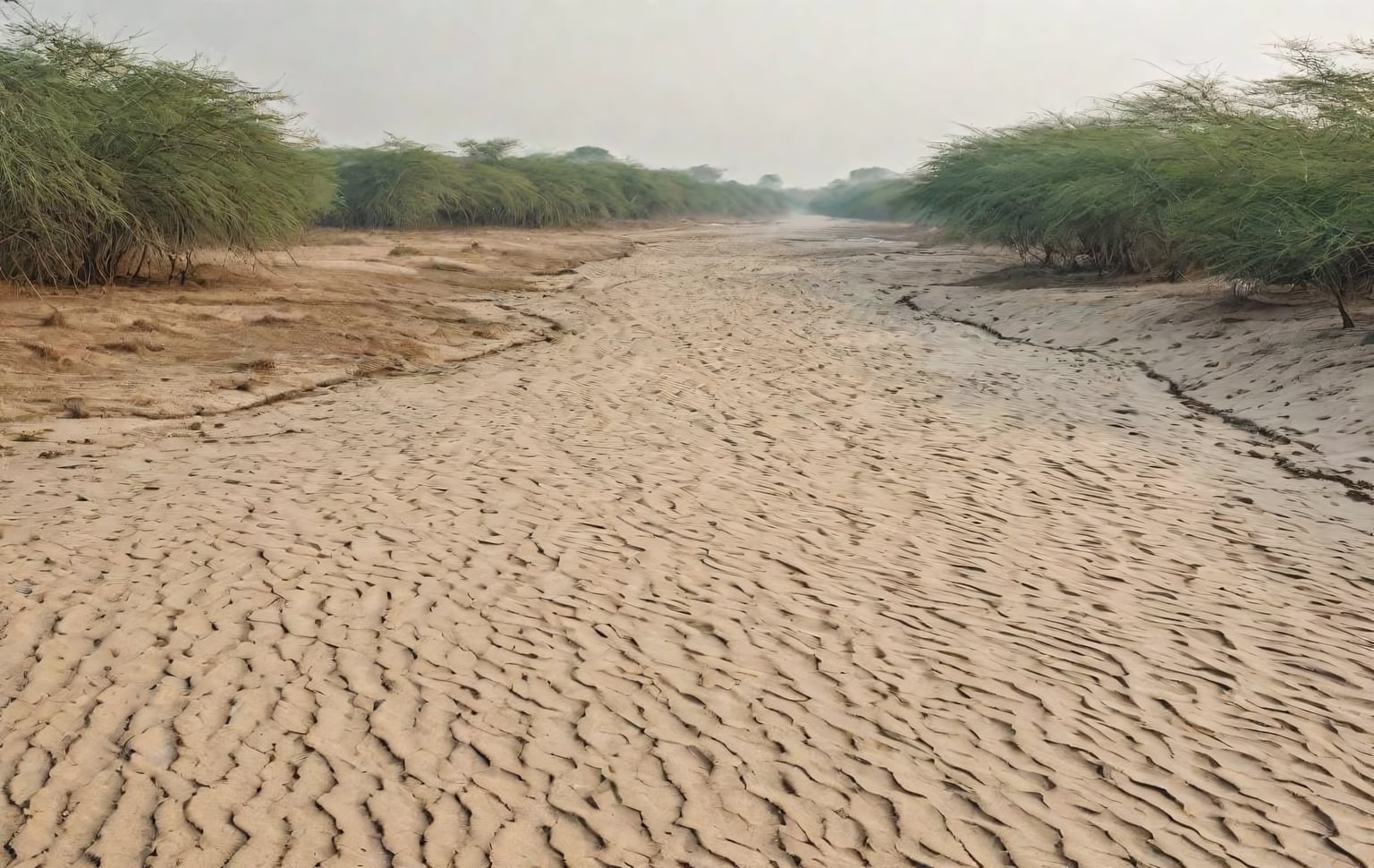 Palar River